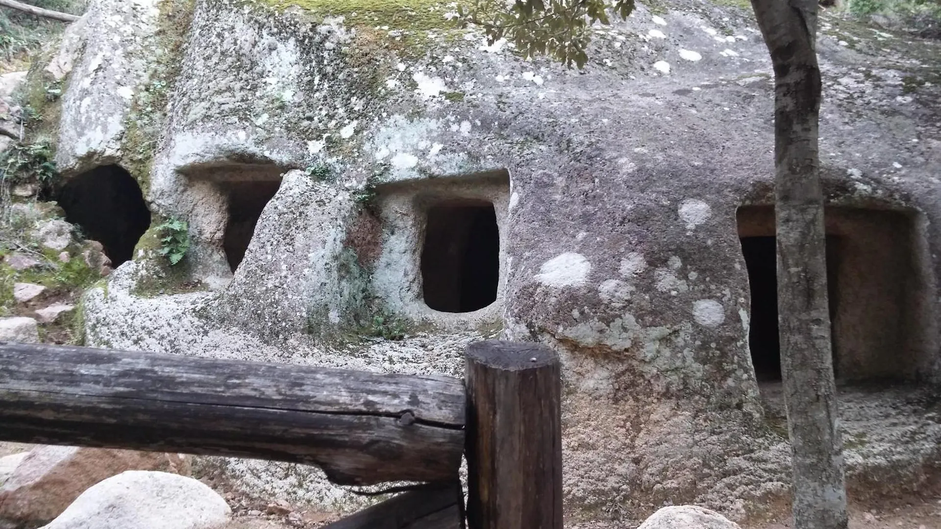 Appartamento Vicino Al Mare Bacu E Ludu A Cardedu Italy