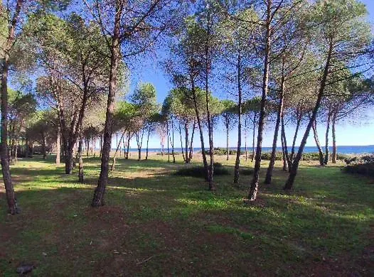 Appartamento Vicino Al Mare Bacu E Ludu A Cardedu 0*,