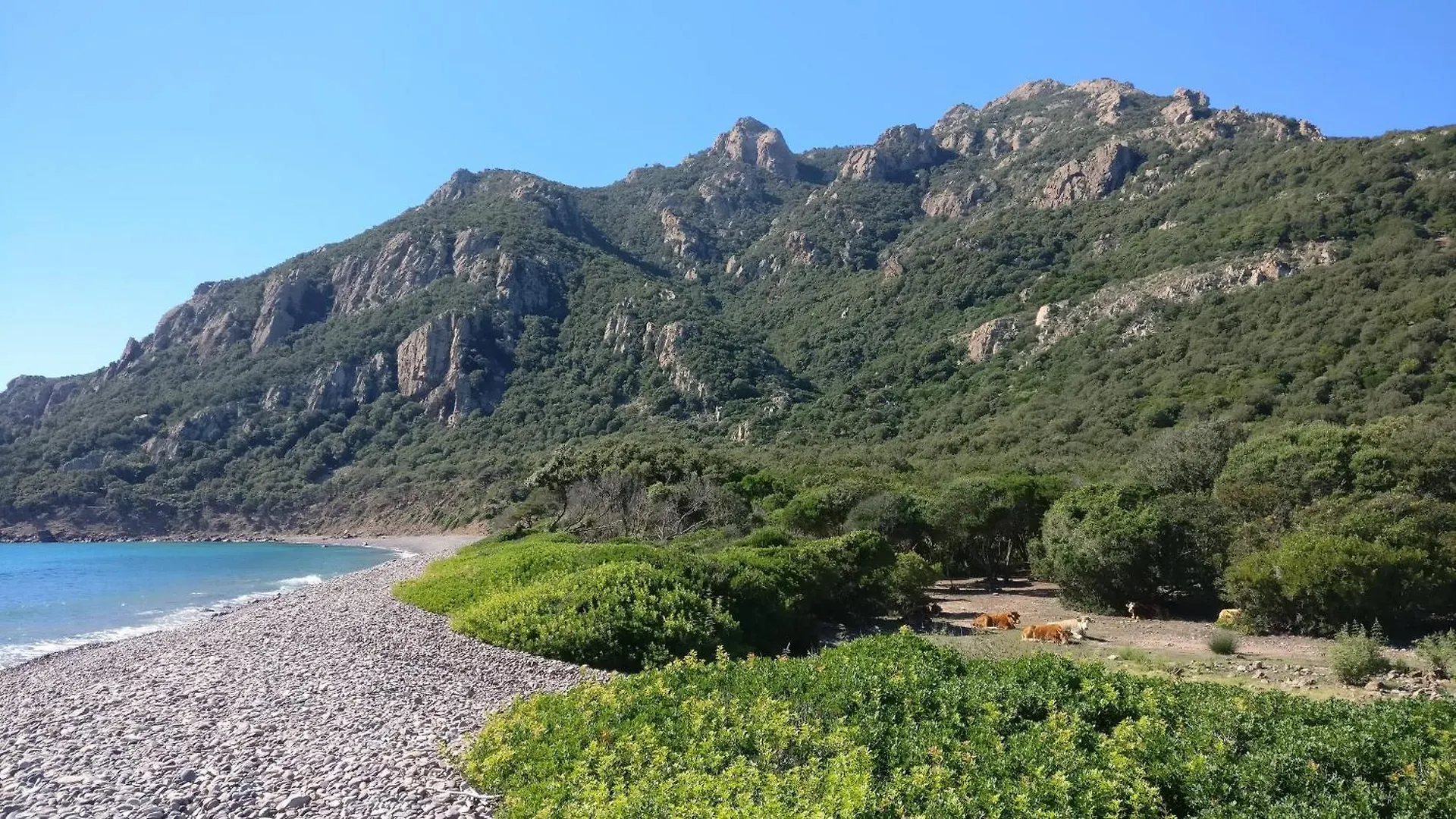 Appartamento Vicino Al Mare Bacu E Ludu A Cardedu Apartment